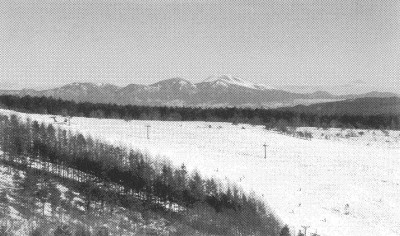 令和06年02月01日発行写真2